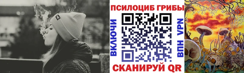 Псилоцибиновые грибы прущие грибы  Тетюши 